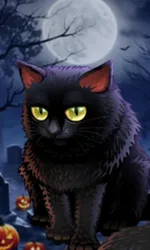 Spooky Halloween